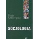 SOCJOLOGIA analiza społeczeństwa 